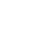 Attraction - #4